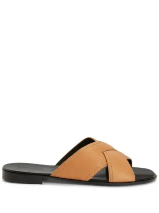 Giuseppe Zanotti