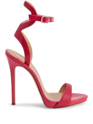 Giuseppe Zanotti
