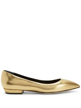 Giuseppe Zanotti