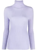Fabiana Filippi roll-neck long-sleeve jumper - Purple