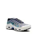 Nike Kids Air Max Plus low-top sneakers - Grey