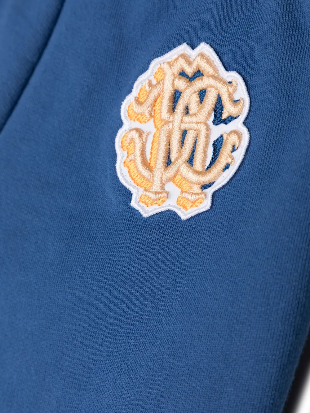 Roberto Cavalli Junior Shorts met geborduurd logo Blauw
