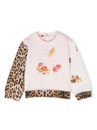 Roberto Cavalli Junior