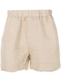 Osklen Rustic stripe-embroidered deck shorts - Neutrals