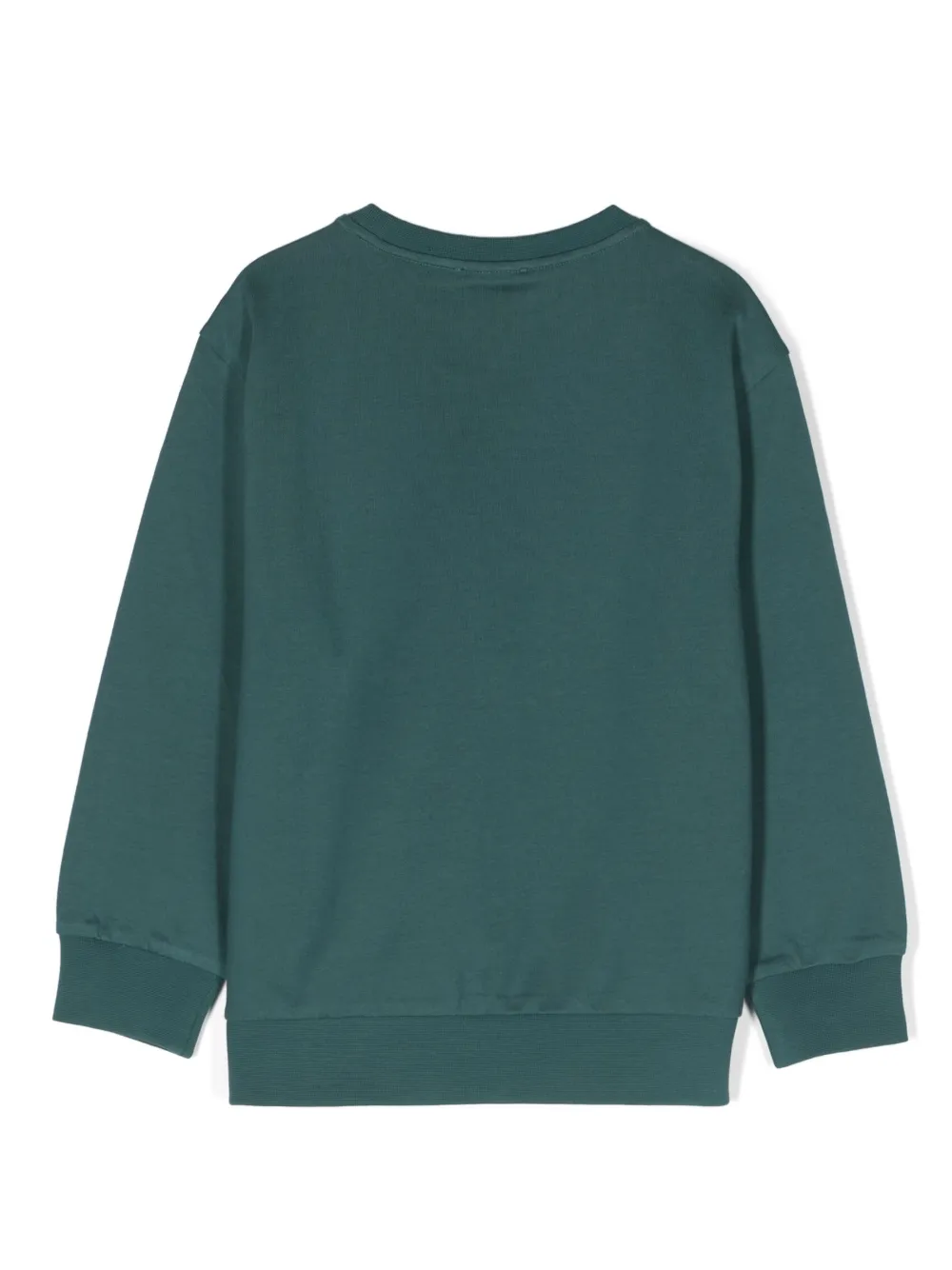 Ea7 Emporio Armani Sweater met logoprint - Groen