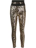 Plein Sport leopard-print cotton leggings - Black