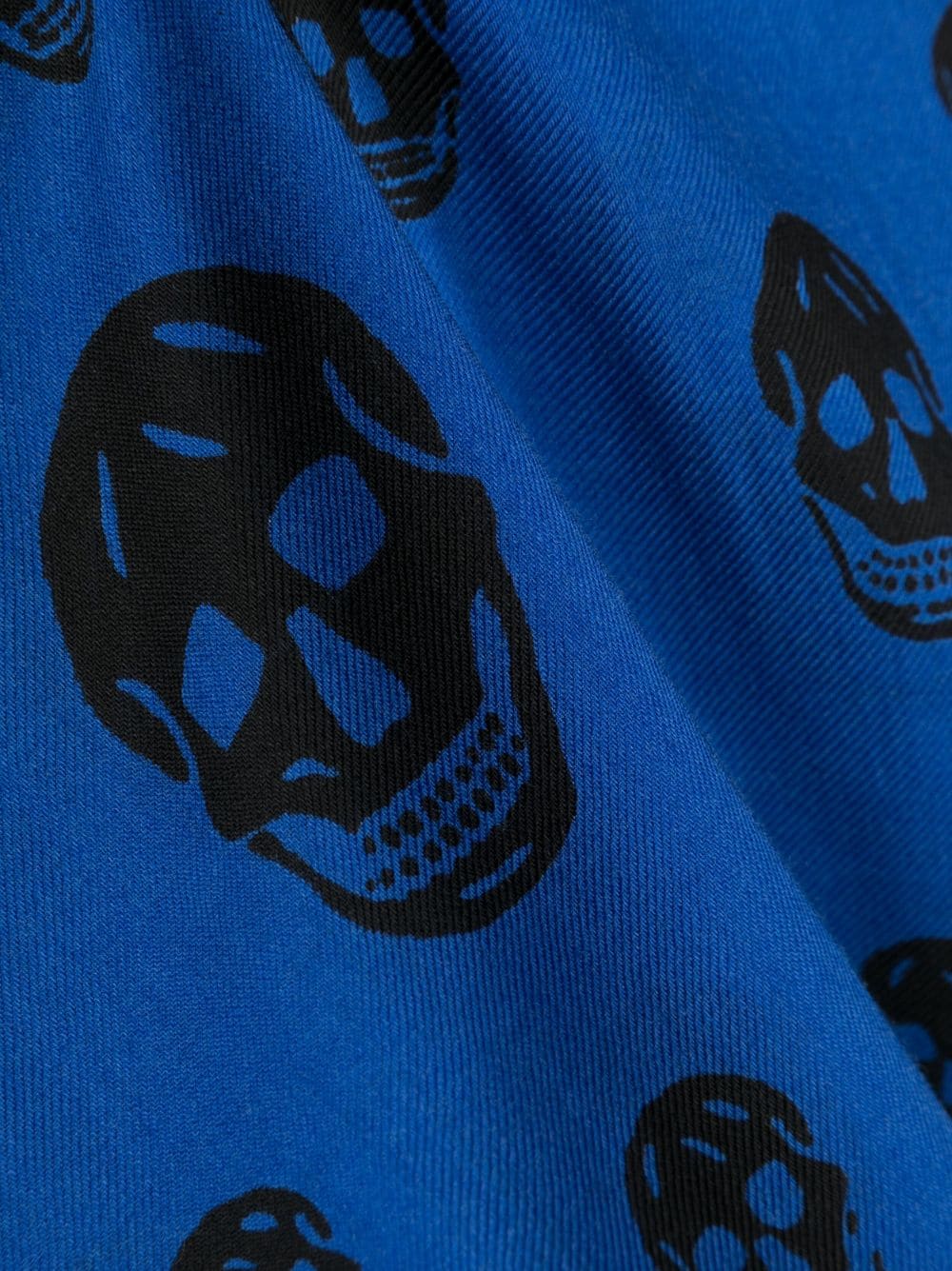 Shop Alexander Mcqueen Skull-print Wool Scarf In Blue