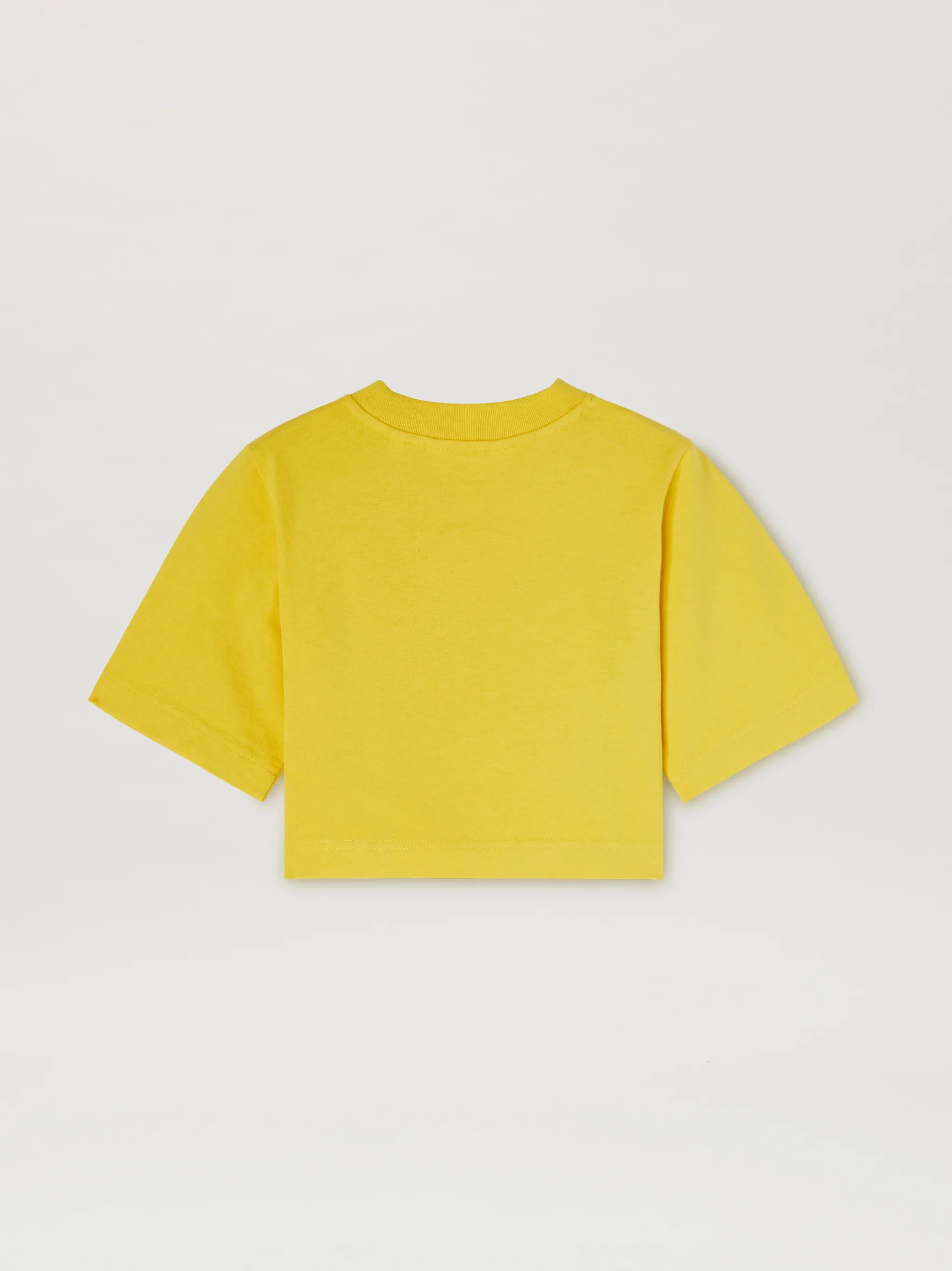 Bear Brush Crop T-Shirt