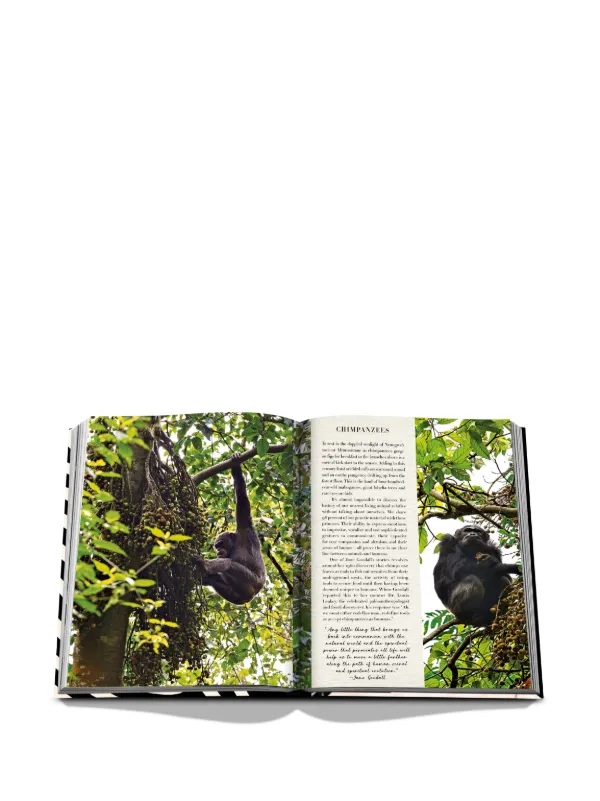 洋書　safari in wildest africa アフリカ　大型本 AfricanAdventures3D_1200x1200.