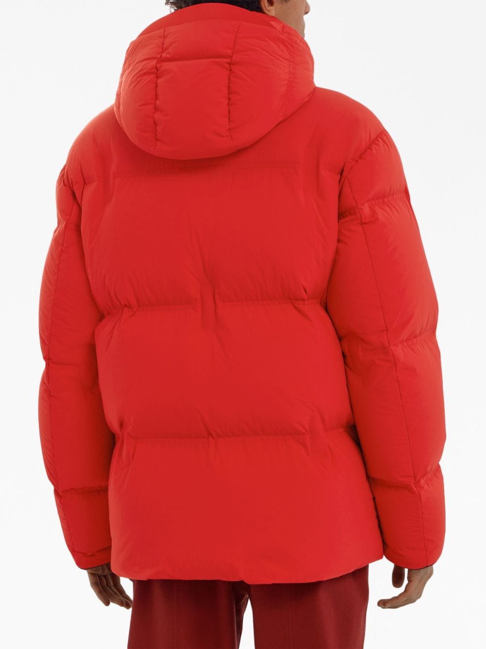 Zegna drawstring-hood puffer jacket Rood