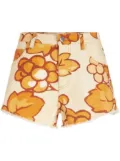 ETRO Berry-print denim shorts - Orange