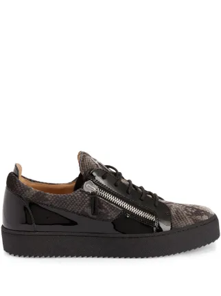 Giuseppe Zanotti
