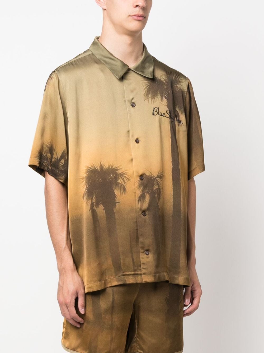Shop Blue Sky Inn Palm-tree Print Shirt In Brown