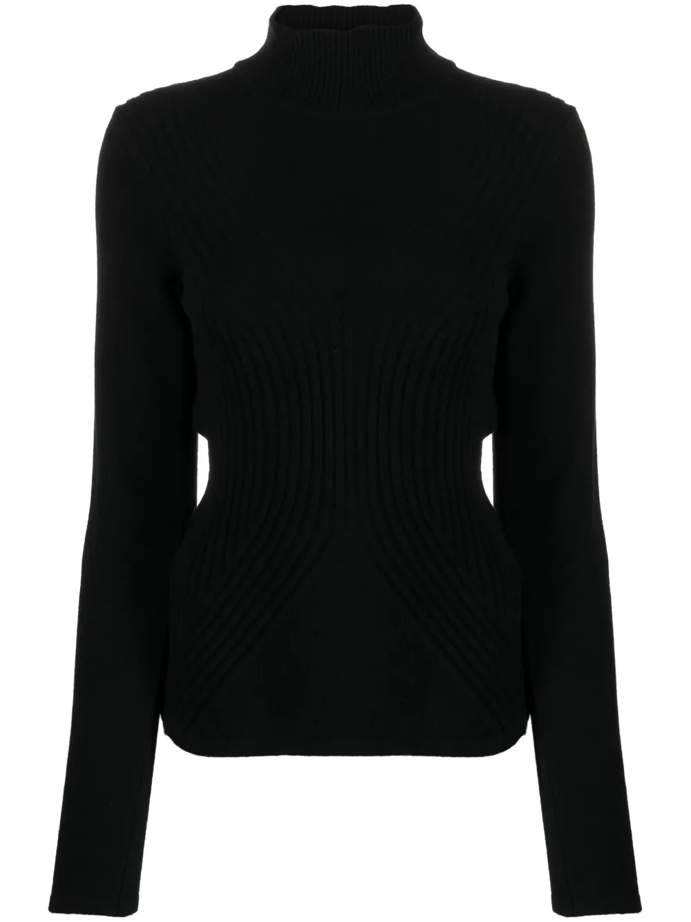 Alberta Ferretti Ribbed-detail High-neck Jumper In Black