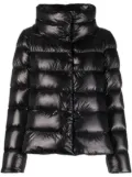 Herno padded down jacket - Black