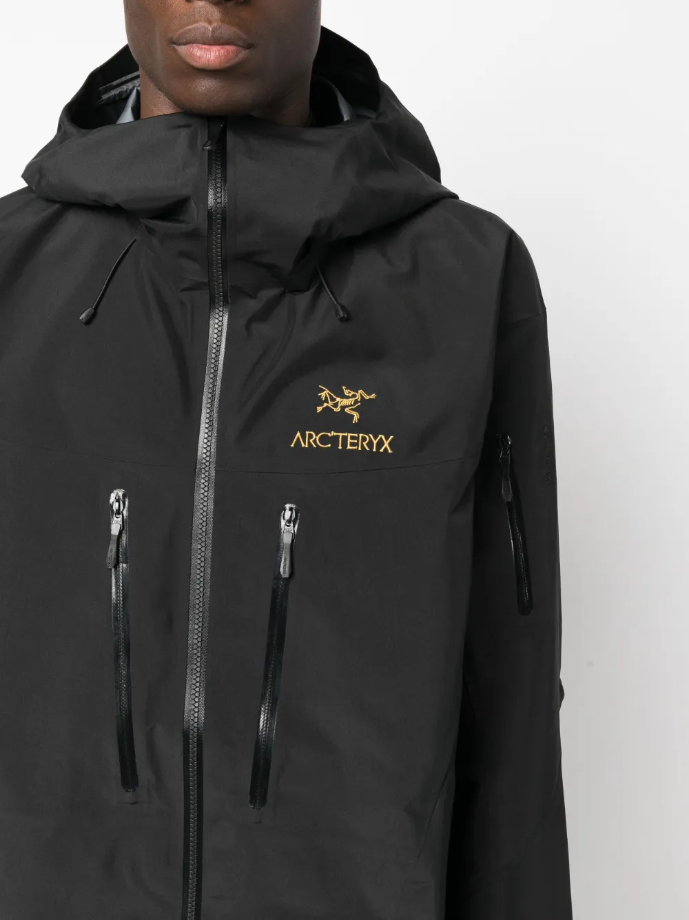 Arc'teryx Alpha SV GORE-TEX® フーデッド ジャケット - Farfetch