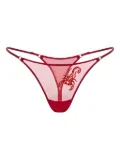 Zhilyova Scorpio-embroidery tulle thong - Red