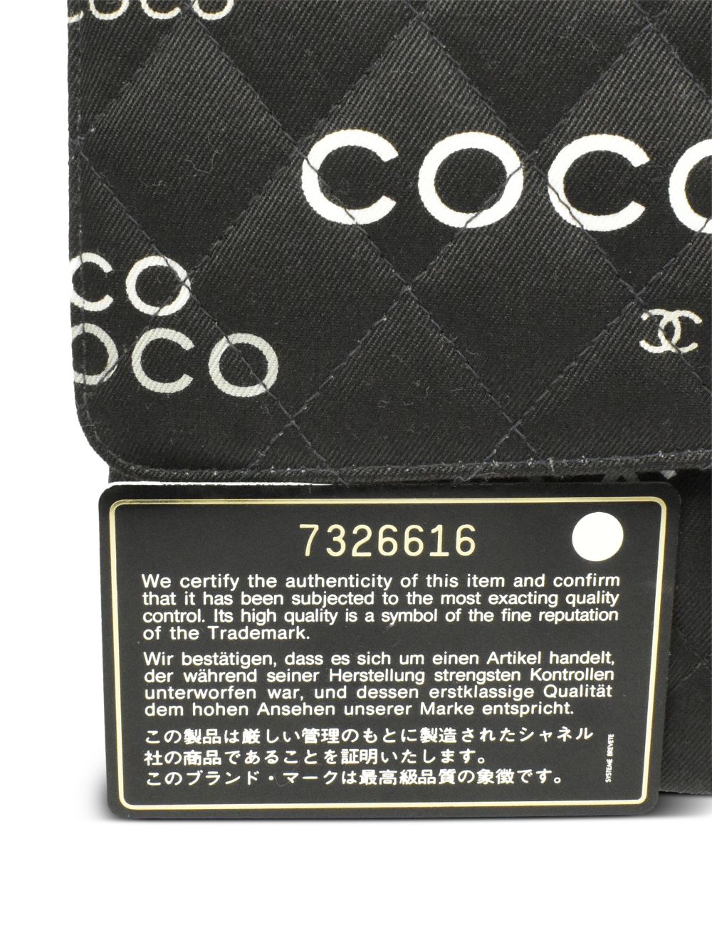 CHANEL 2002 Coco-Print Double Flap shoulder bag Women