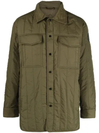 Canada Goose