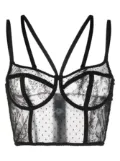 Dolce & Gabbana semi-sheered balconette bra - Black