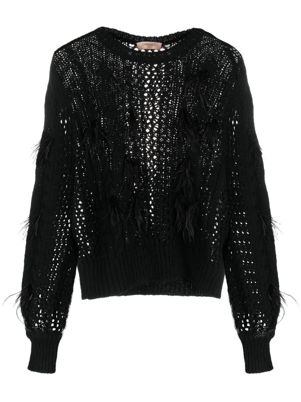 Twinset Feather-detail Cable-knit Jumper In Schwarz