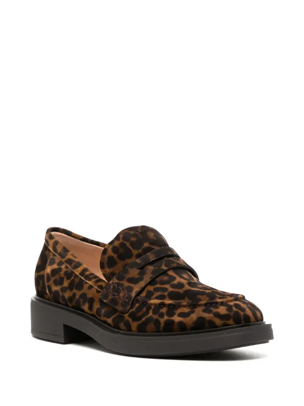 Women's on sale leopard loafers
