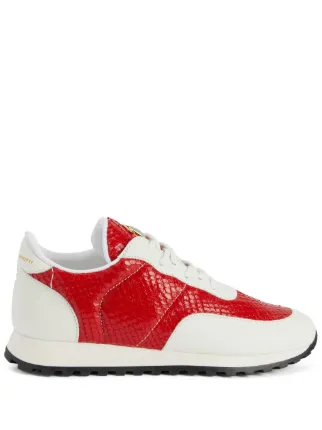 Giuseppe Zanotti