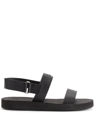Giuseppe Zanotti