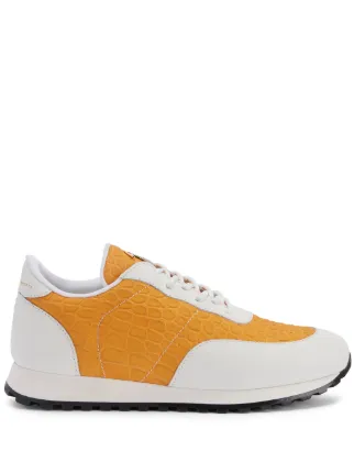 Giuseppe Zanotti