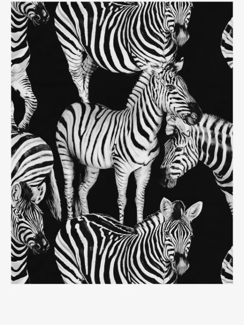 Dolce & Gabbana zebra-print wallpaper