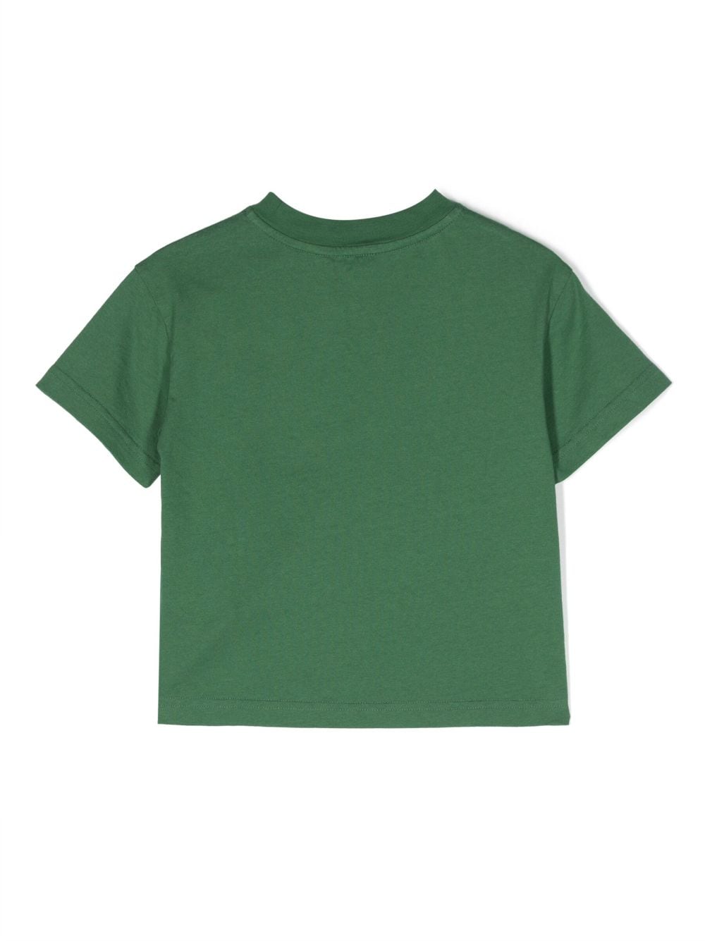Shop Palm Angels Bear-print Cotton T-shirt In Green