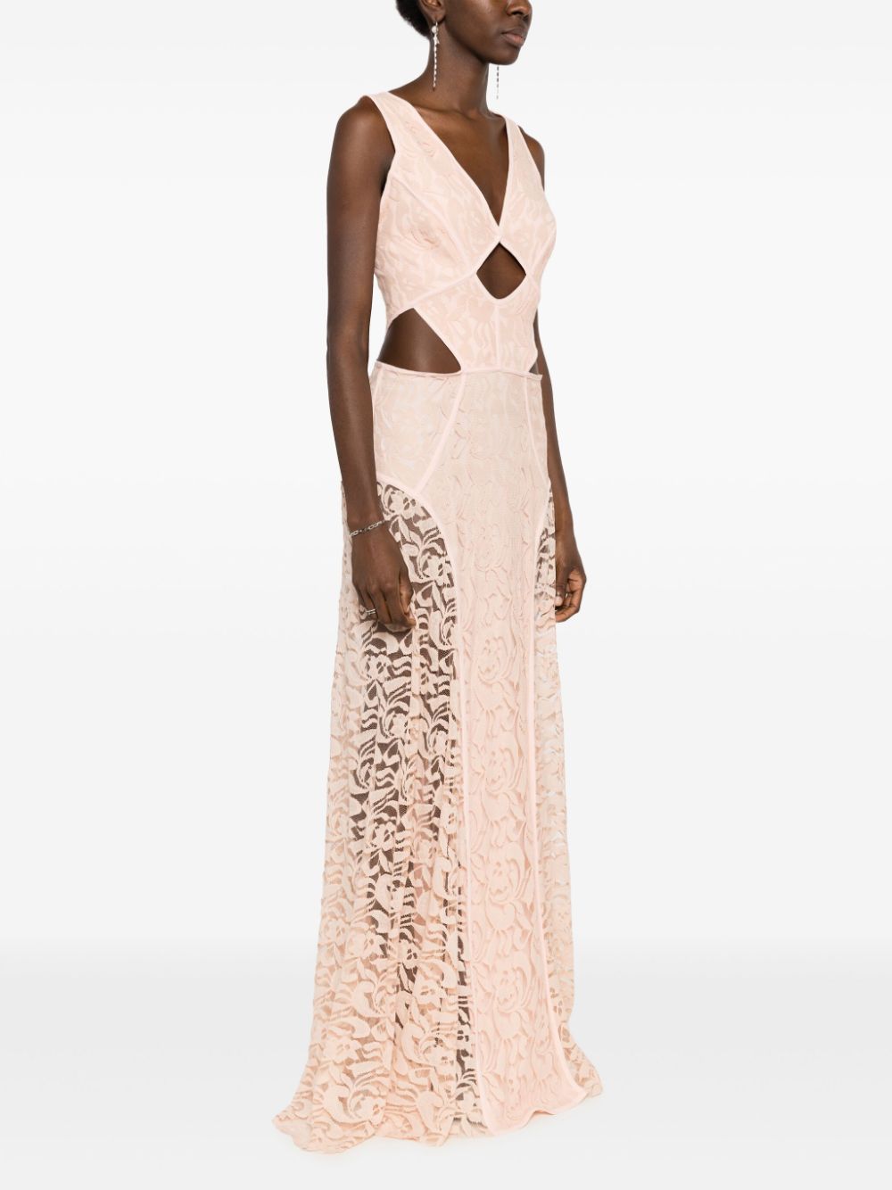 Shop Lethicia Bronstein Puppis Iv Floral-lace Gown In Pink