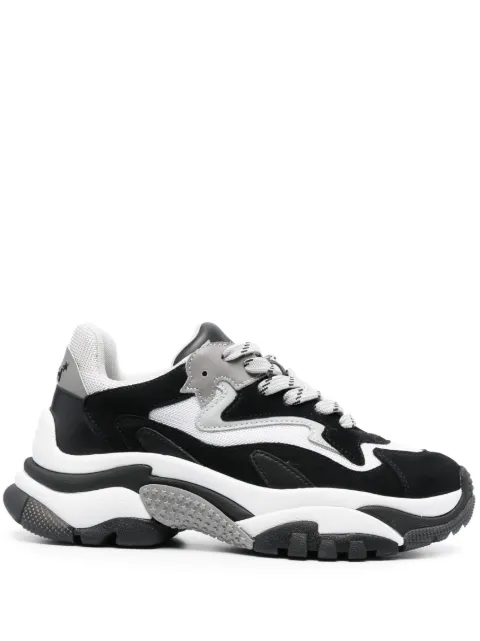 Ash tenis bajos Addict