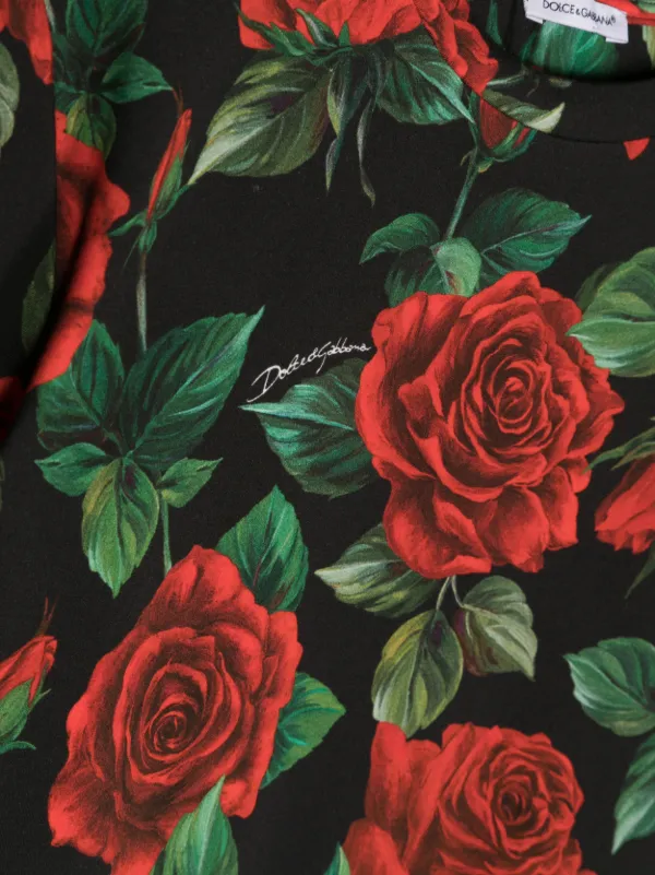 Dolce and gabbana the rose store