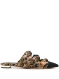Aquazzura pointed-toe leopard-print mules - Brown