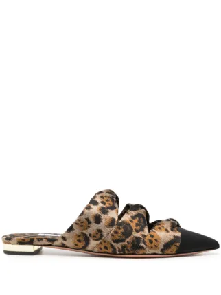 Leopard 2024 pointed mules