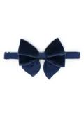 FURSAC velvet bow tie - Blue