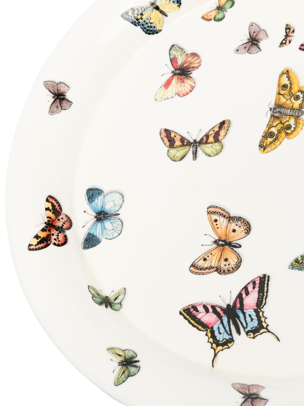 Shop Fornasetti Butterfly-print Ceramic Dish In White