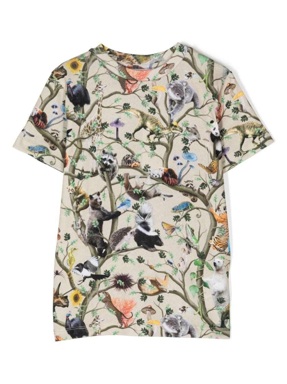 Molo Kids' Graphic-print Cotton T-shirt In Multicolour