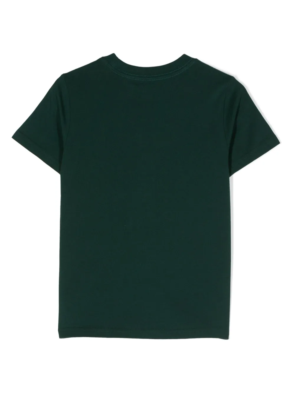 Ralph Lauren Kids Polo Pony-embroidered jersey T-shirt - Groen