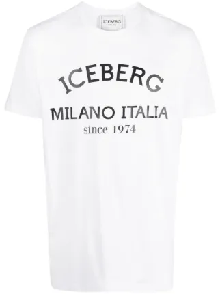 Iceberg