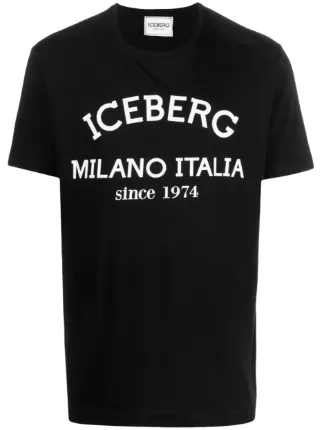 Iceberg