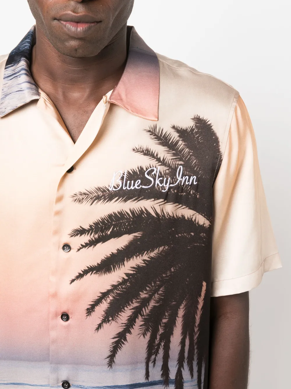 Shop Blue Sky Inn Logo-embroidered Graphic-print Shirt In Black