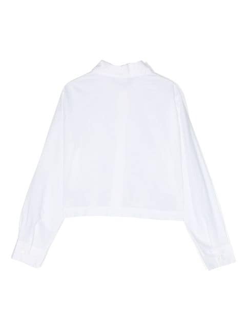 button-up long-sleeved shirt