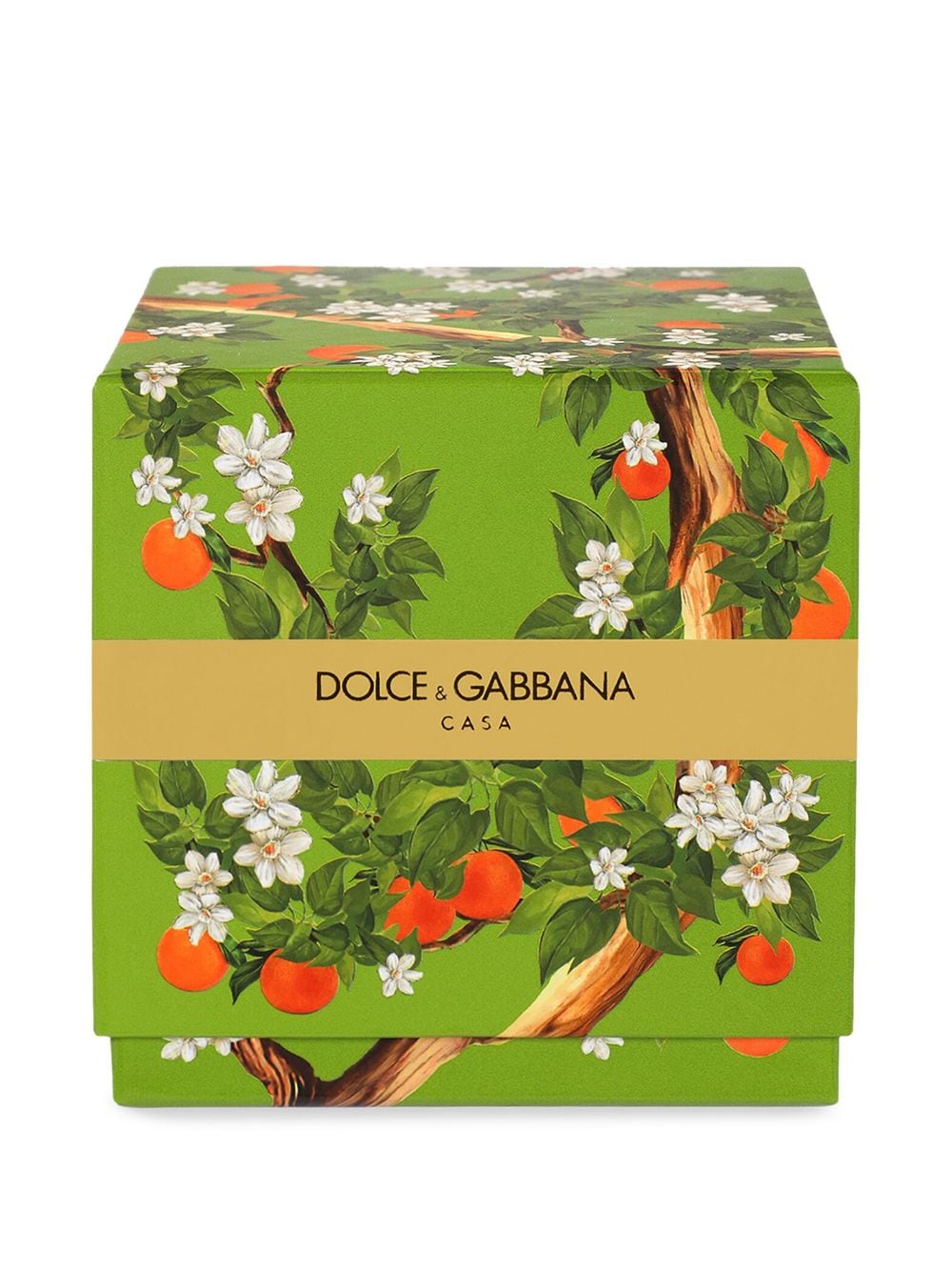 Shop Dolce & Gabbana Sicilian Orange Floral-print Candle (250g) In Green