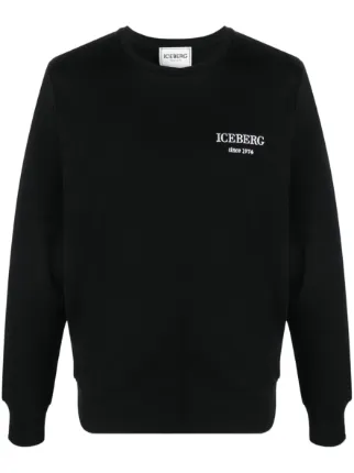 Iceberg