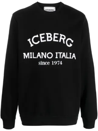 Iceberg