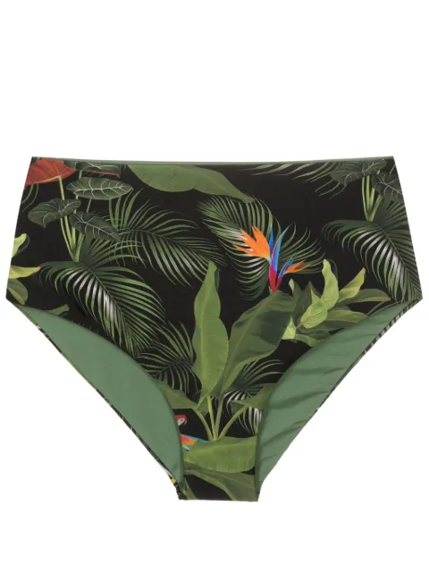 Lygia & Nanny Violeta leaf-print bikini bottoms 