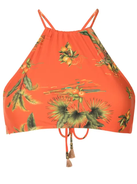 Lygia & Nanny Ilana botanical-print bikini top