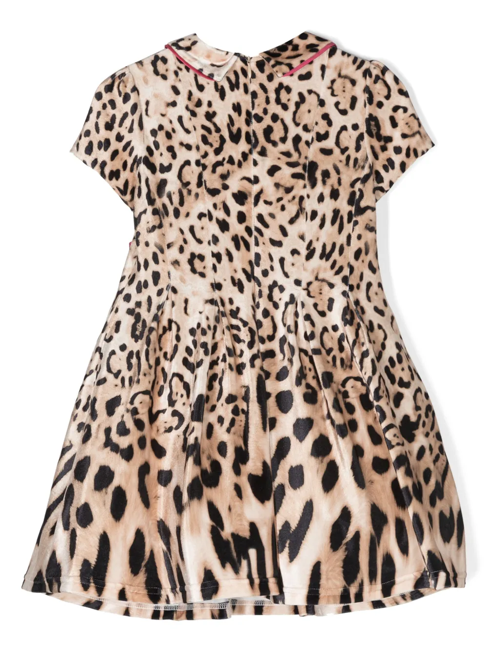 Colorichiari Jurk met luipaardprint - Bruin